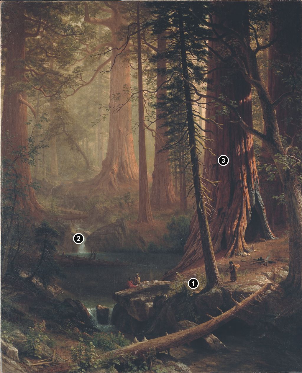 Annotated details from Giant Redwood Trees of California by Albert Bierstadt